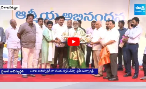 YV Subba Reddy About Visakhapatnam