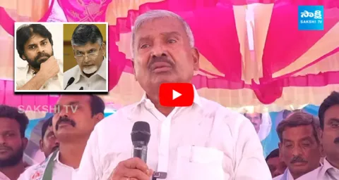 Peddireddy Ramachandra Reddy Fires On Chandrababu Naidu And Pawan Kalyan