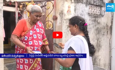 Chandrababu and Nimmagadda Ramesh Cant Stop Pension Distribution