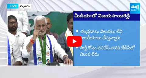 MP Vijay Sai Reddy Fires On Chandrababu 