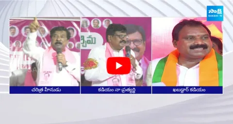 BRS Leaders Fires On Kadiyam Srihari Over Party Change