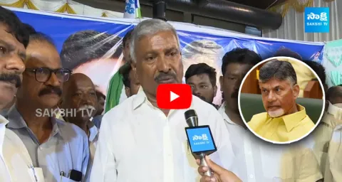 Peddireddy Ramachandra Reddy Comments On Chandrababu