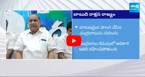 Mudragada Padmanabham About Chandrababu Cheap Politics 