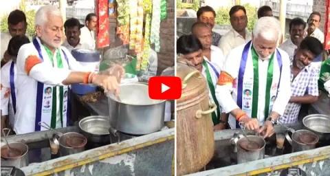 Vijay Sai Reddy Election Campaign At Nellore