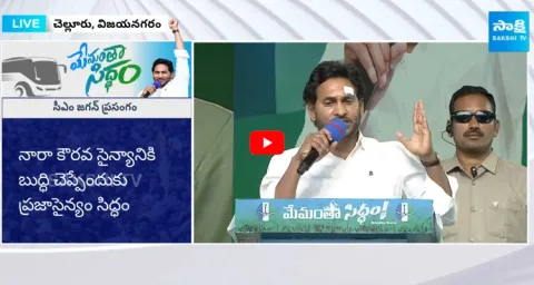 CM Jagan Satires on Chandrababu and Pawan Kalyan