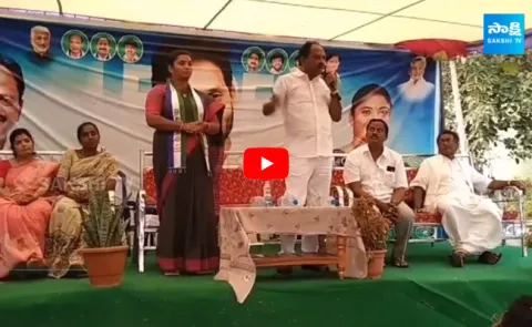 AP Deputy CM Budi Mutyala Naidu Comments On Cm Ramesh