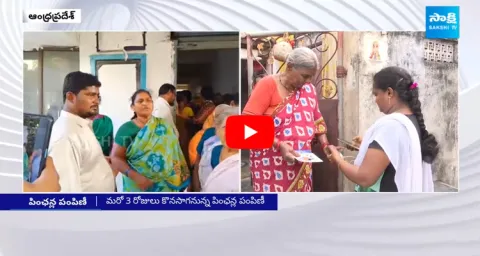 Pension Distribution In Andhra Pradesh