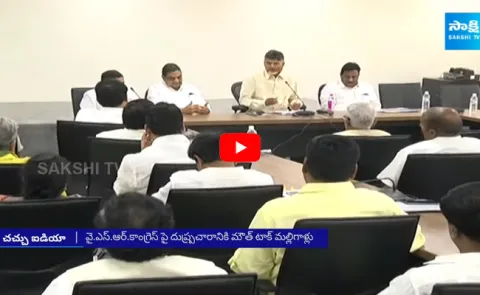 Chandrababu Naidu Cunning Idea To Win