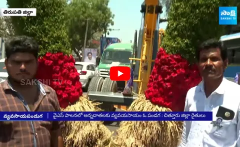 Farmer Made Huge Paddy Gajamala For CM Jagan