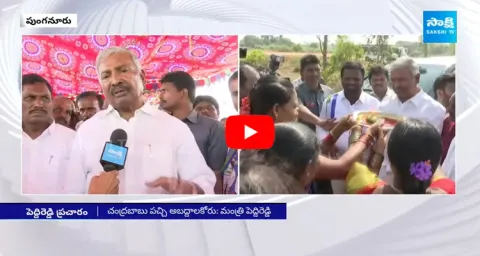 Peddireddy Ramachandra Reddy Comments On Chandrababu TDP Manifesto