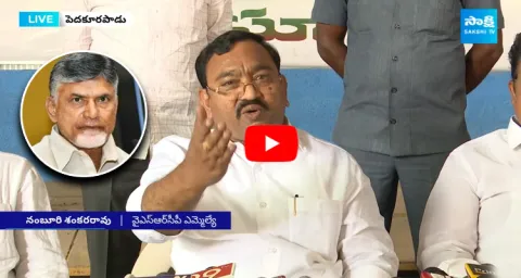 MLA Namburu Sankara Rao Fire On Chandrababu Naidu