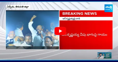 TDP Leaders Attack On BC Leader R Krishnaiah At Tirupati