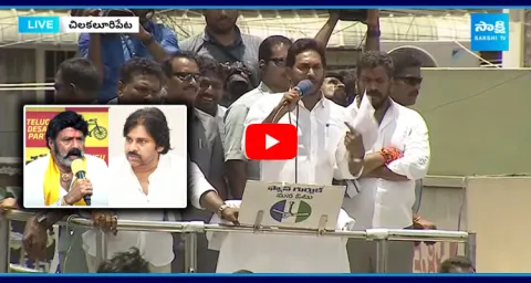 CM YS Jagan Comments On Pawan Kalyan And BalaKrishna