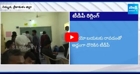 Acham Naidu TDP Cadre Rigging Video Got Leaked