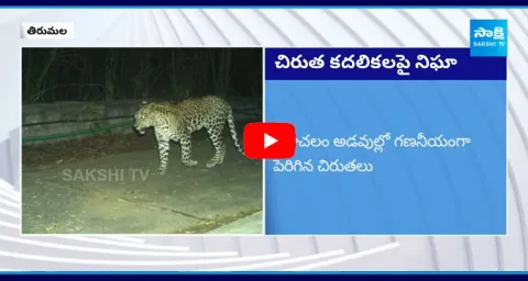 TTD Special Focus On Cheetah Movements In Tirumala