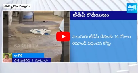 Court Remanded TDP Goons For Breaking EVM Machines On AP Elections Polling Day