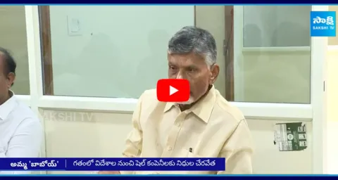 Facts Behind Chandrababu Naidu Foreign Tour