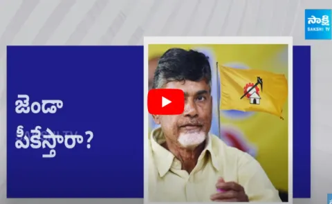 Magazine Story On TDP Party Future Steps, Chandrababu Naidu