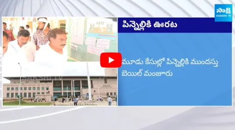 AP High Court Gives Big Relief to Pinnelli Ramakrishna Reddy