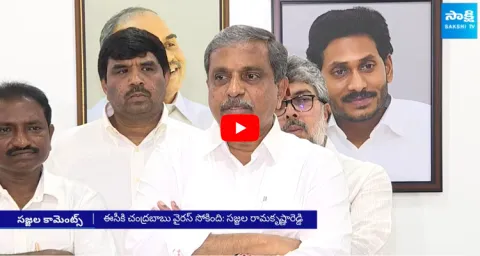 Sajjala Ramakrishna Reddy Comments On EC Chandrababu