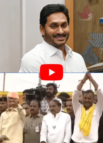 Chandrababu Naidu Request Voters To Vote For YSRCP