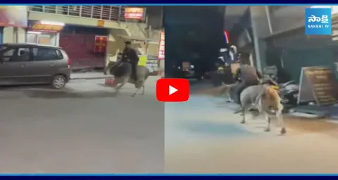 Man Crazy Raiding On Bull