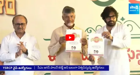 AP Employees Are With YSRCP Chandrababu Manifesto vs YS Jagan Manifesto