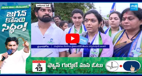 YSRCP Leaders Election Campaign In AP