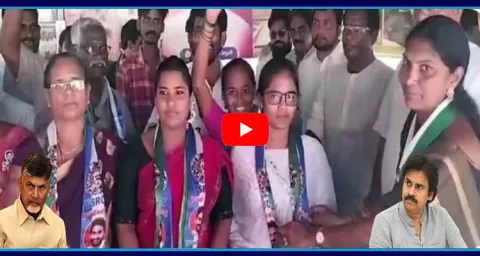 TDP And Janasena Leaders Joins In YSRCP