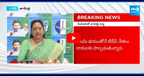 Vasireddy Padma Sensational Comments On Taneti Vanitha Incident