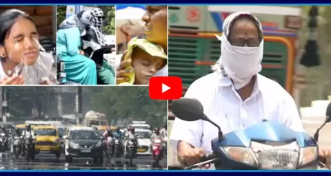 People Facing Problems With Heavy Temperature In Telugu States