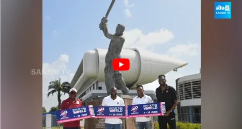 Cricket Experts T20 World Cup 2024 Semifinal Predictions