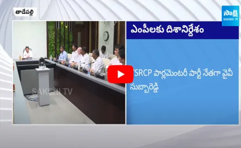 YS Jagan Directions YSRCP MPs, Parliament Session Discussion 2024