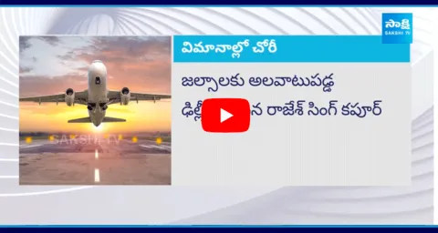 Police Have Caught A Thief Who Steals From Airplanes