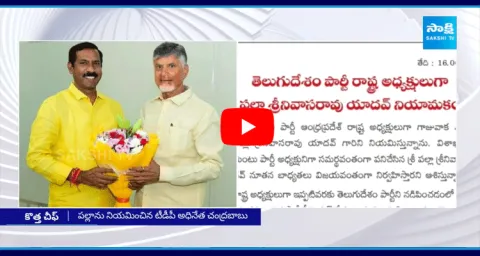 Palla Srinivasa Rao Appointed As AP TDP President