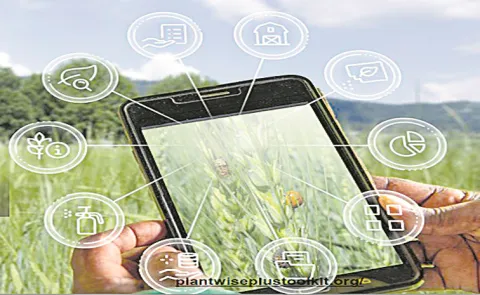 CABI Design Of Scientific Information In Agriculture Through Website, Apps