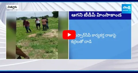 TDP Leaders Attacks On YSRCP Leader Raju In Chittoor