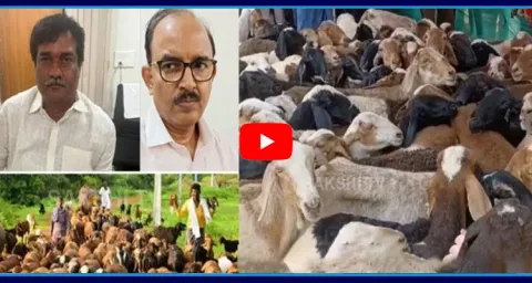 Ex-Minister Talasani Srinivas And OSD Kalyan Key Roles Telangana