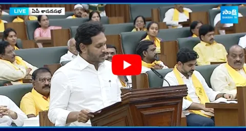 YS Jagan Mohan Reddy Takes Oath As MLA