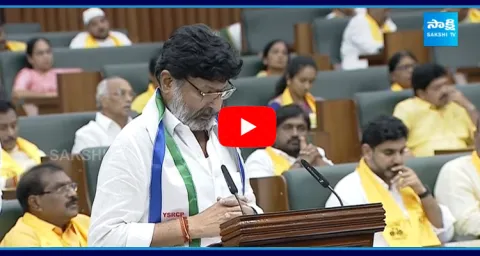 Peddireddy Dwarakanatha Reddy Takes Oath As MLA