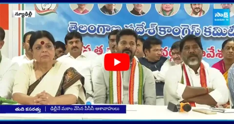 Telangana Congress Focus On New TPCC Chief