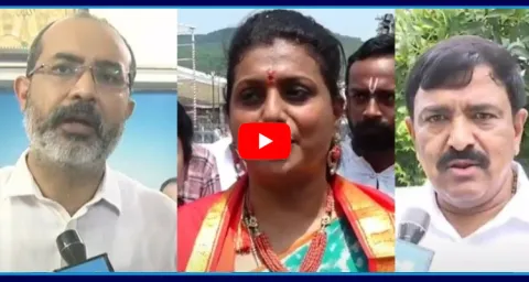 YSRCP Leaders About Victory In AP Elections 2024