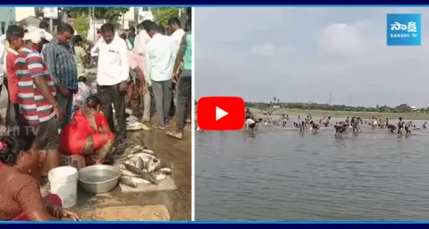 Garam Garam Varthalu Mrigasira Karthi 2024