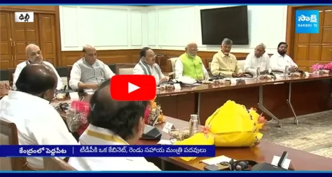 5 MPs To Get Chance In Modi Cabinet