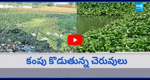 Pond Surrounding Area People Fires On GHMC Officials