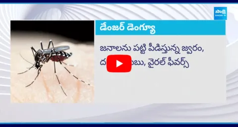 City Sees Sharp Spike In Dengue Cases