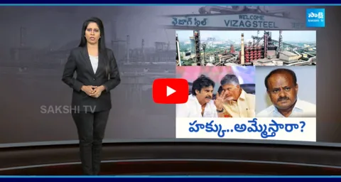 Union Minister Kumaraswamy Visits Visakha Steel Plant