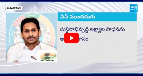 NITI Aayog Report On Andhra Pradesh Development