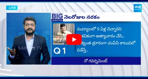 Big Debate On Chandrababu 30 Days Ruling 