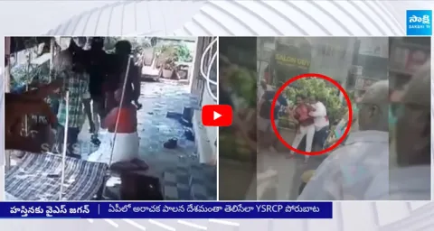 YSRCP Vasupalli Ganesh about Delhi Protest